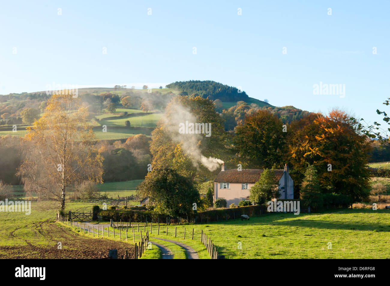 Landscape, Powys, Wales, UK. Stock Photo