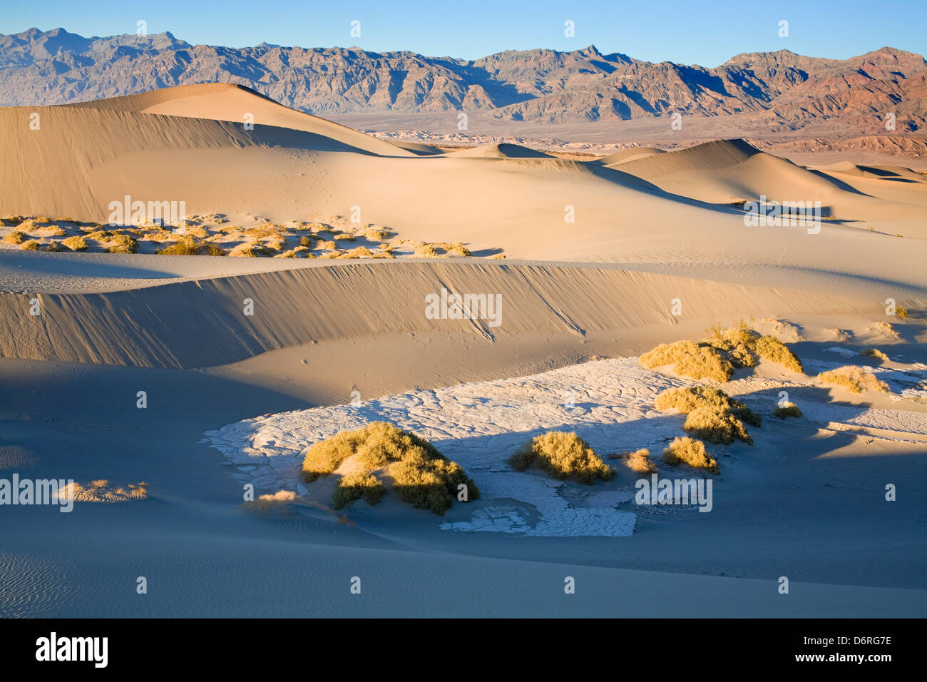 Mesquite Flat Sand Dunes Death Valley National Park California USA 
