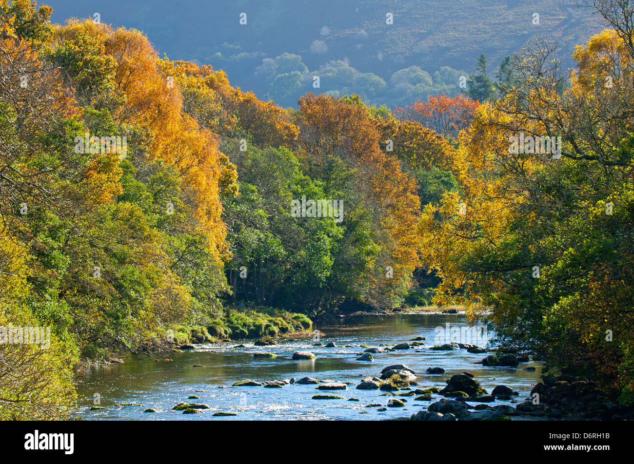 River Wye and autumn leaves, Powys, Wales, UK. Stock Photo