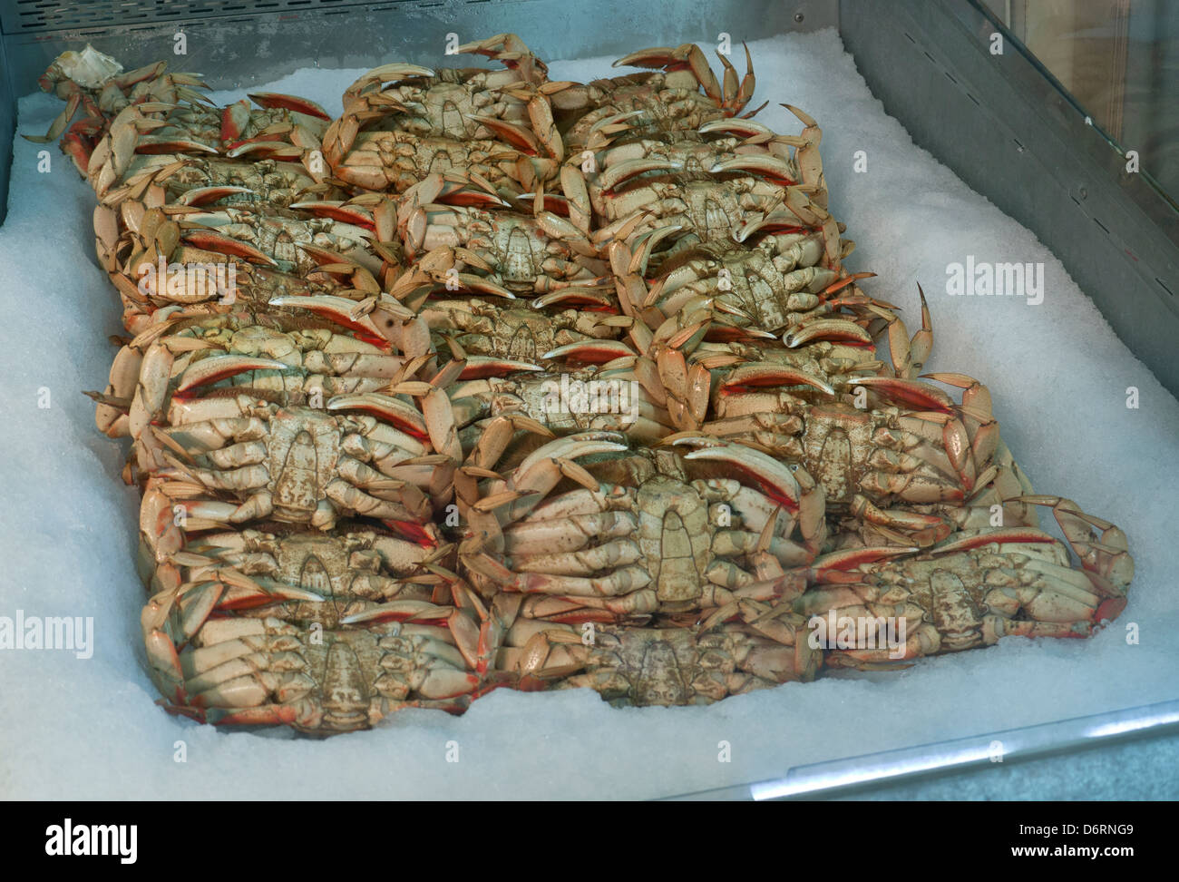 King crabs at Phil's fish market Moss Landing California USA Stock