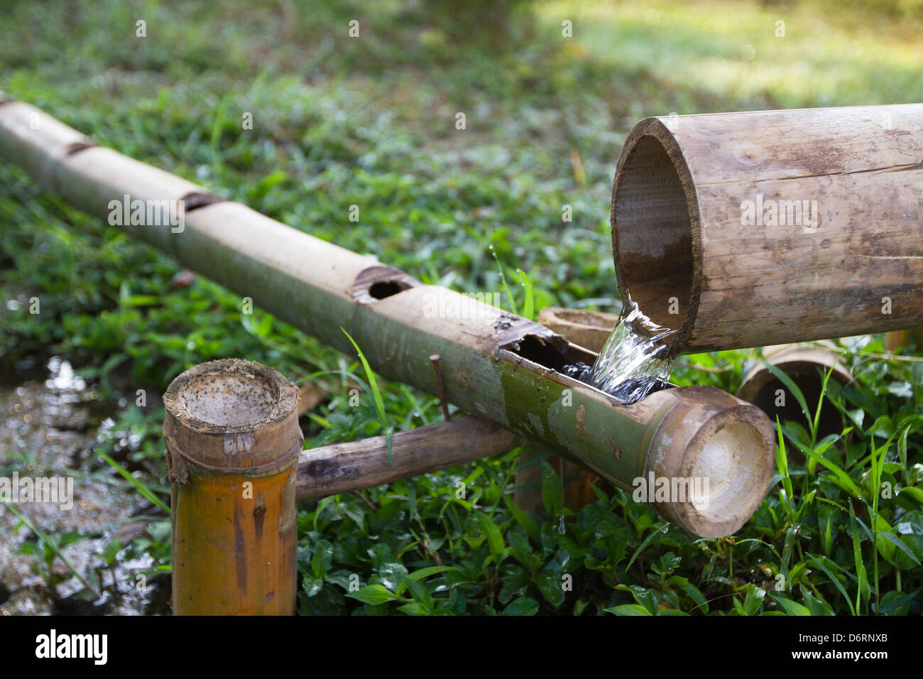 bamboo ecological watering system Stock Photo