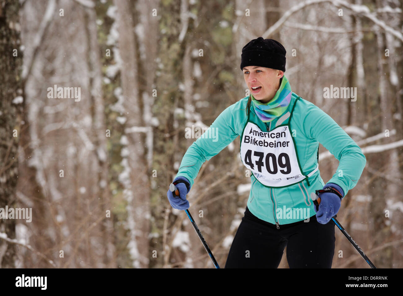 A woman skis on the trail between Cable and Hayward, Wisconsin in the American Birkebeiner on February 23, 2013. Stock Photo