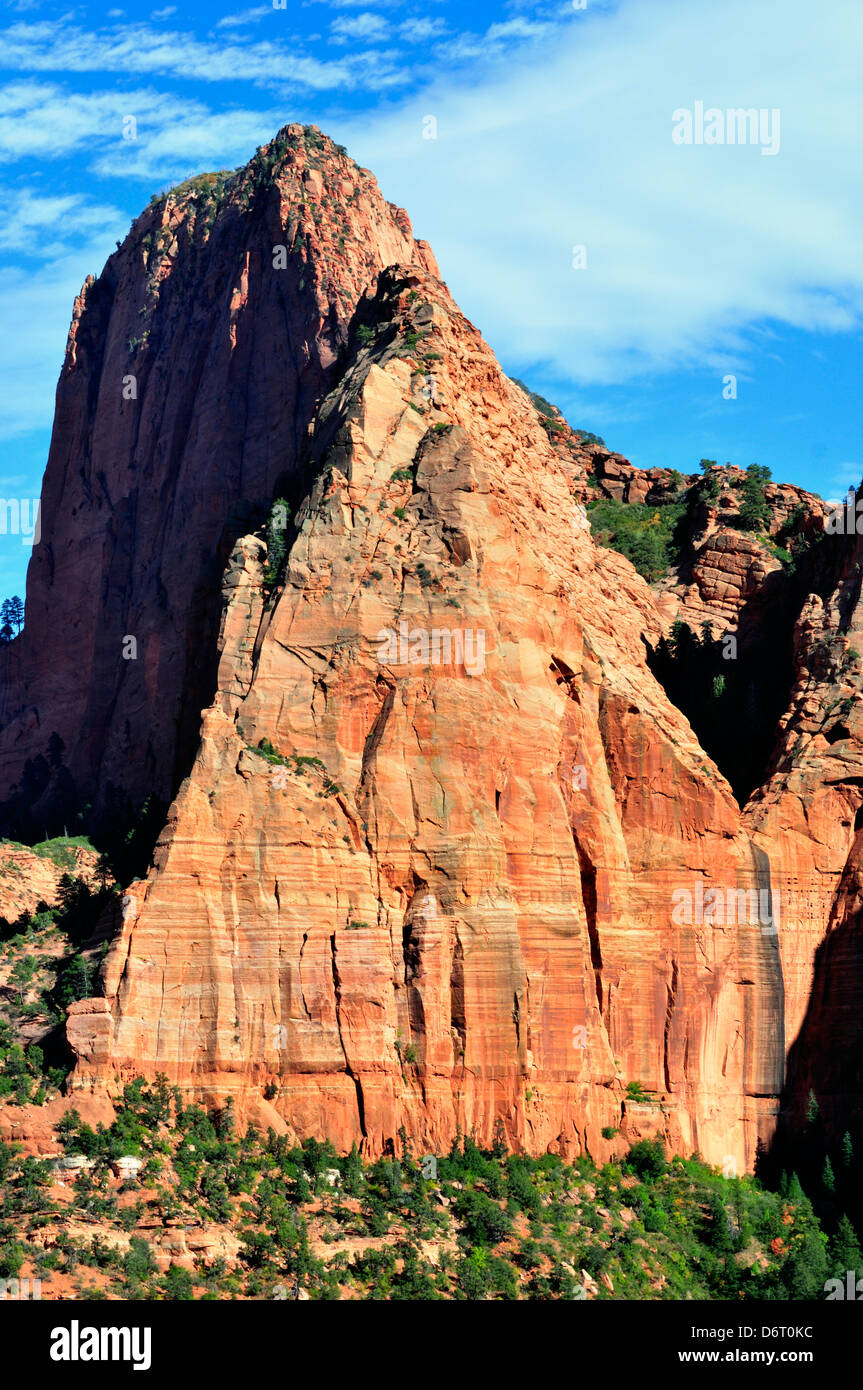 Exposed sheer cliff faces in Kolob Canyons exhibit distinct sandstone layers, fracturing and erosion Stock Photo