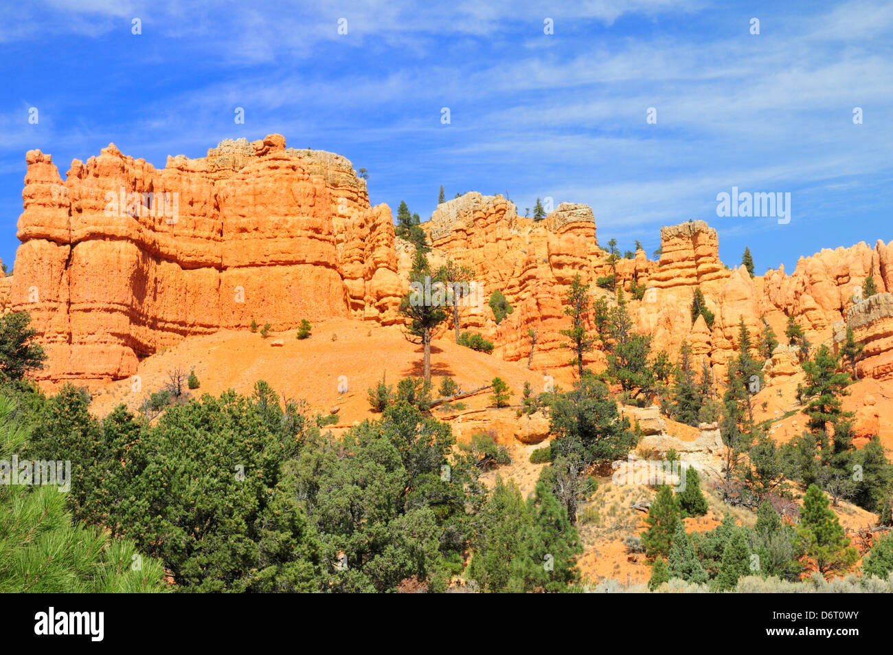 Intricately carved formations in Red Canyon, Utah Stock Photo