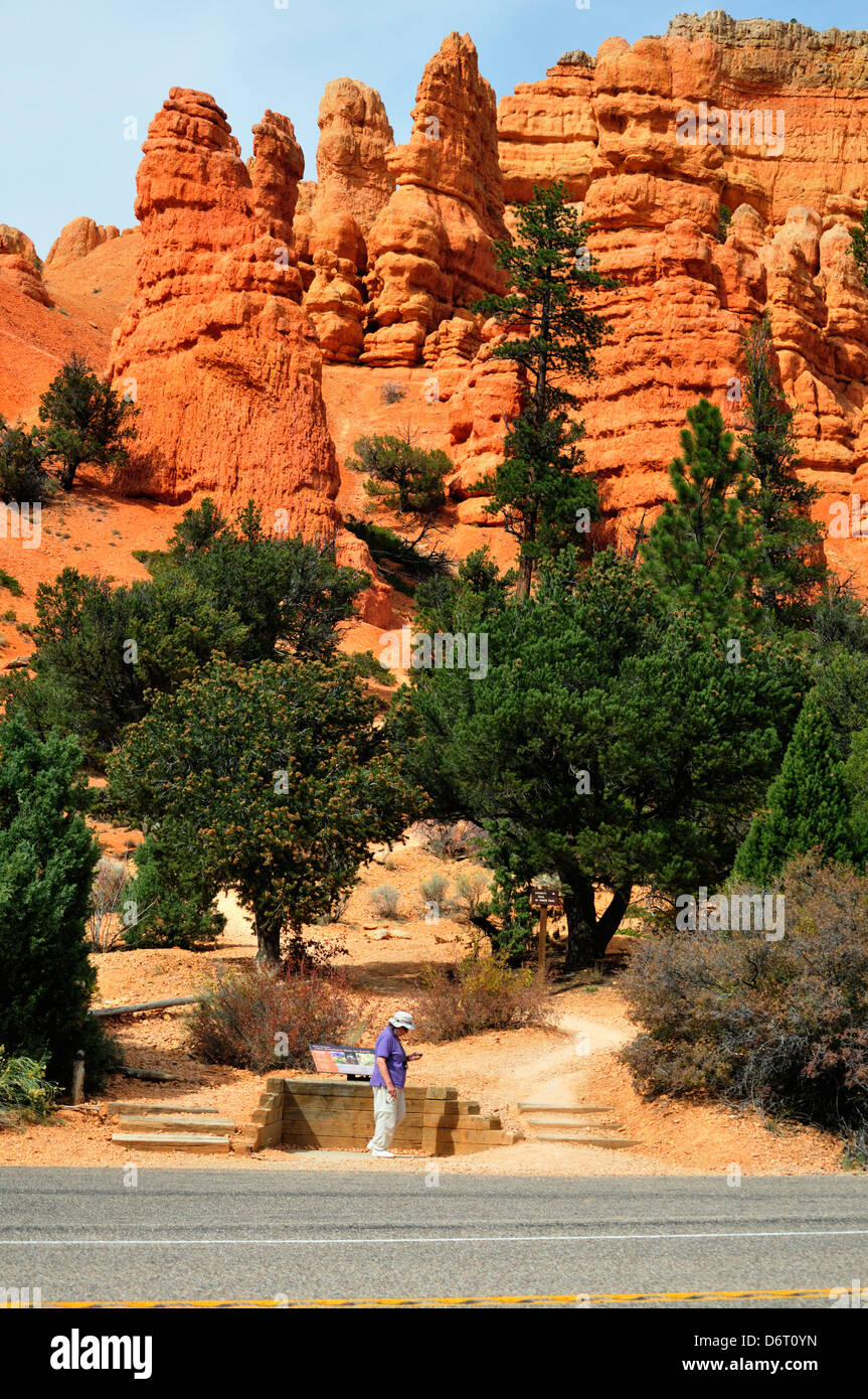 A lone hiker stops at the base of colorful formations in Red Canyon, Utah Stock Photo