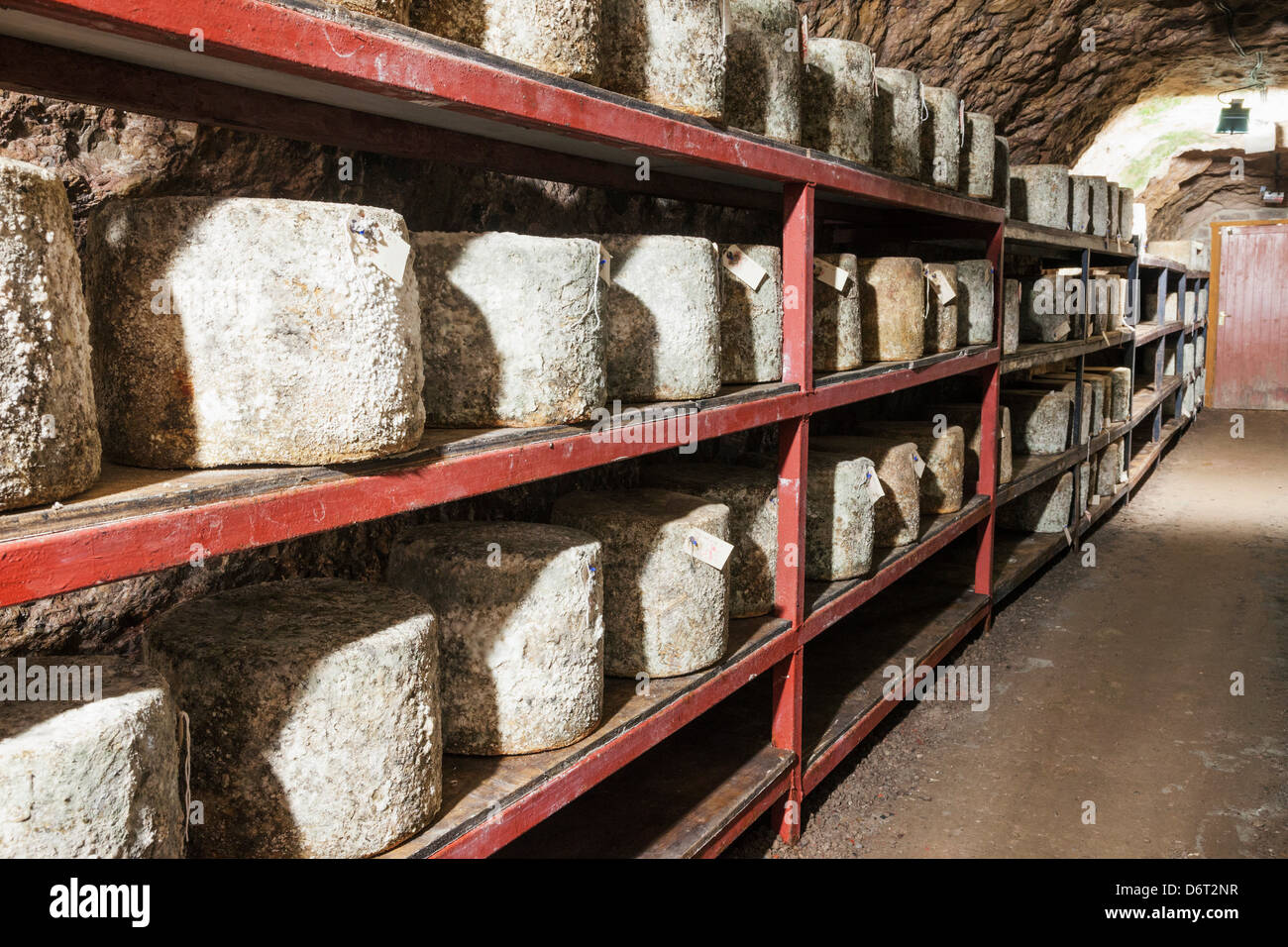 UK, England, Somerset, Wookey Hole, Wookey Hole Caves, Cheddar Cheese Storage Room Stock Photo