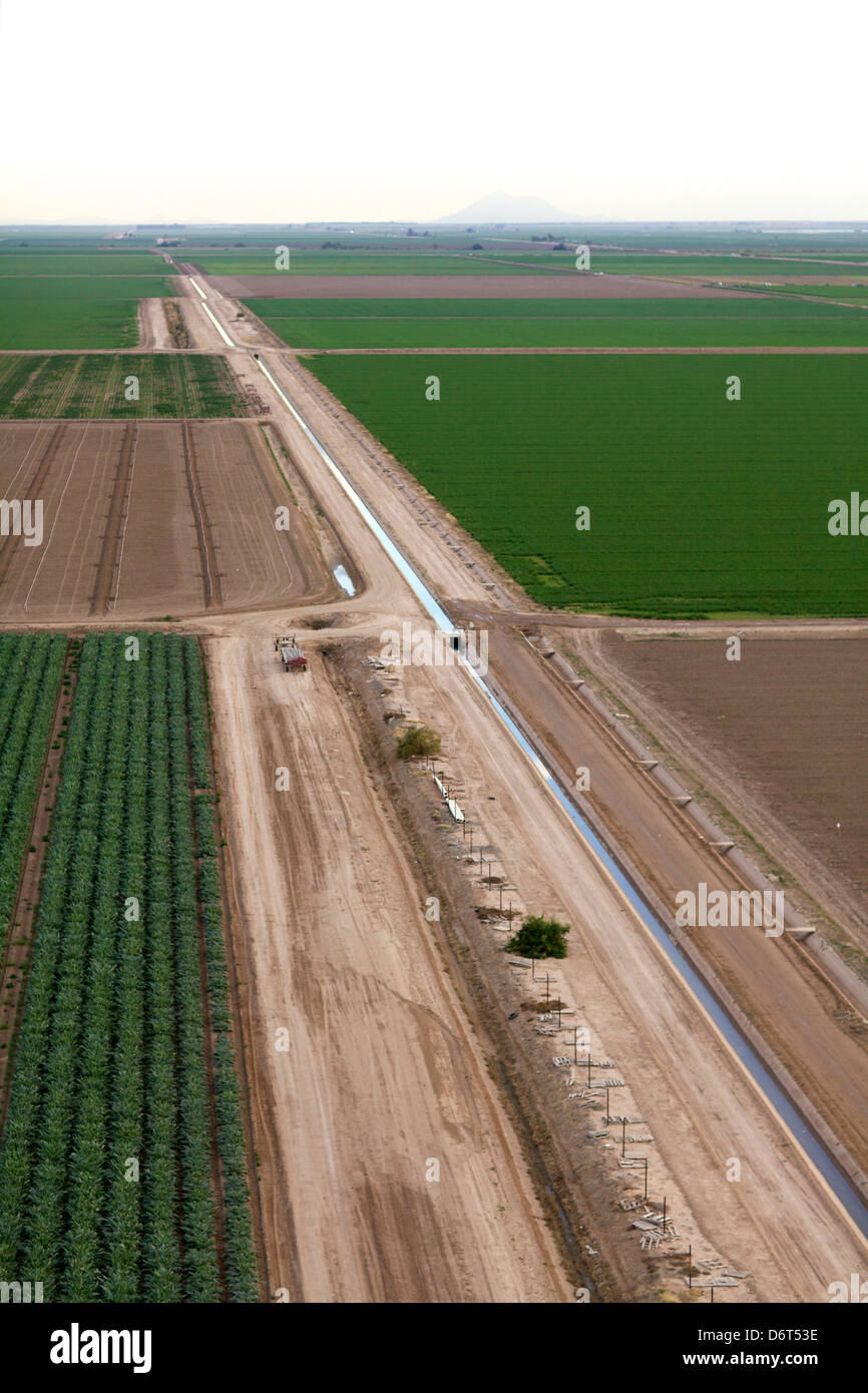 Aerial view of a field, Imperial Valley, Brawley, Imperial County