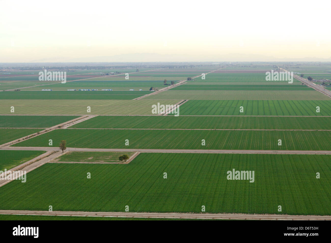 Aerial view of a field, Imperial Valley, Brawley, Imperial County