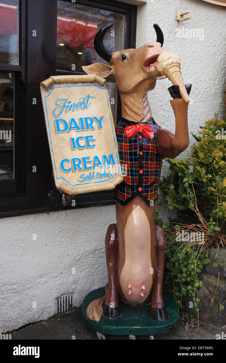 Model cow eating an ice cream cone outside a shop selling real dairy ...