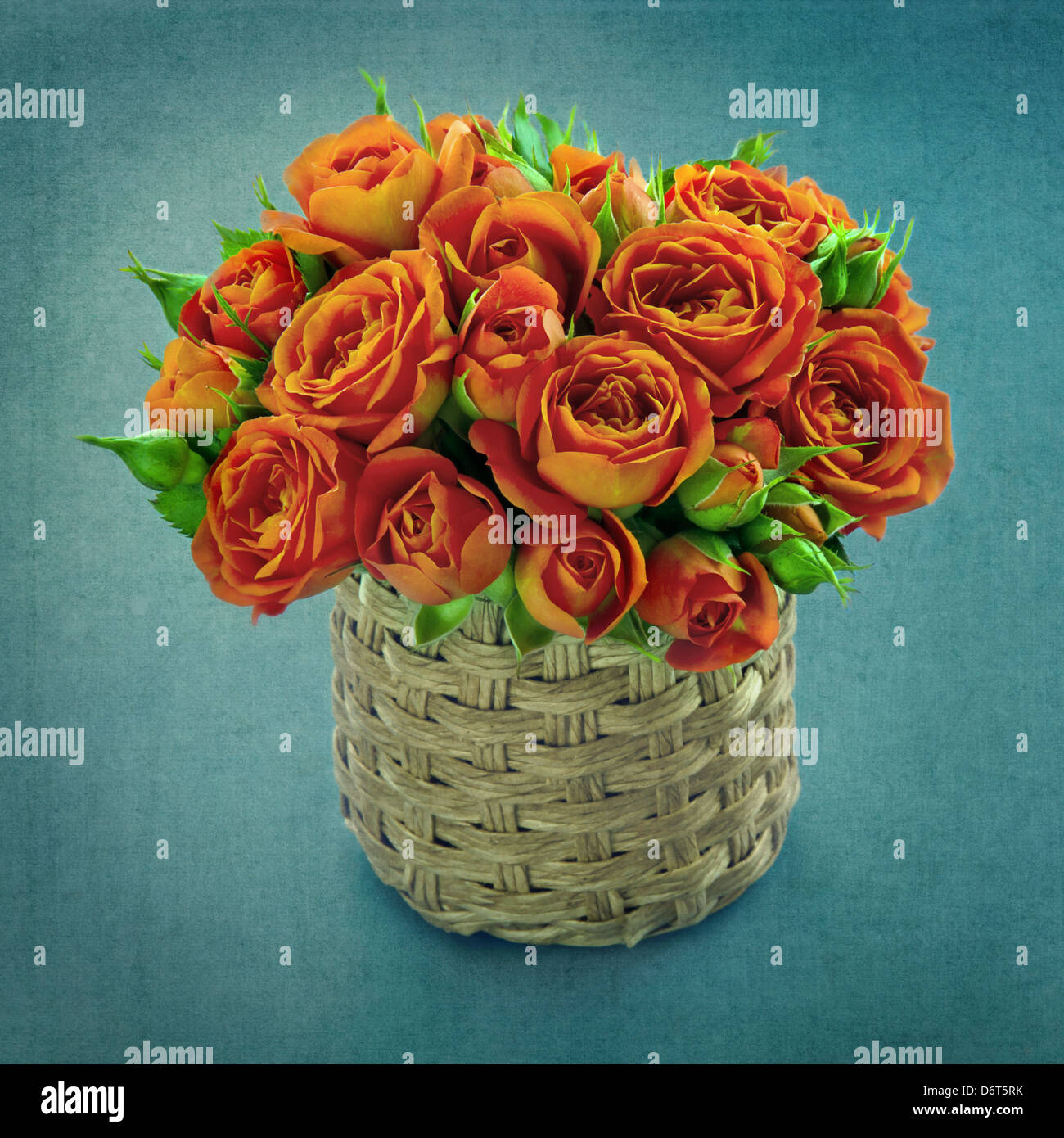 Bouquet of orange roses in a vase on blue vintage shabby chic background Stock Photo