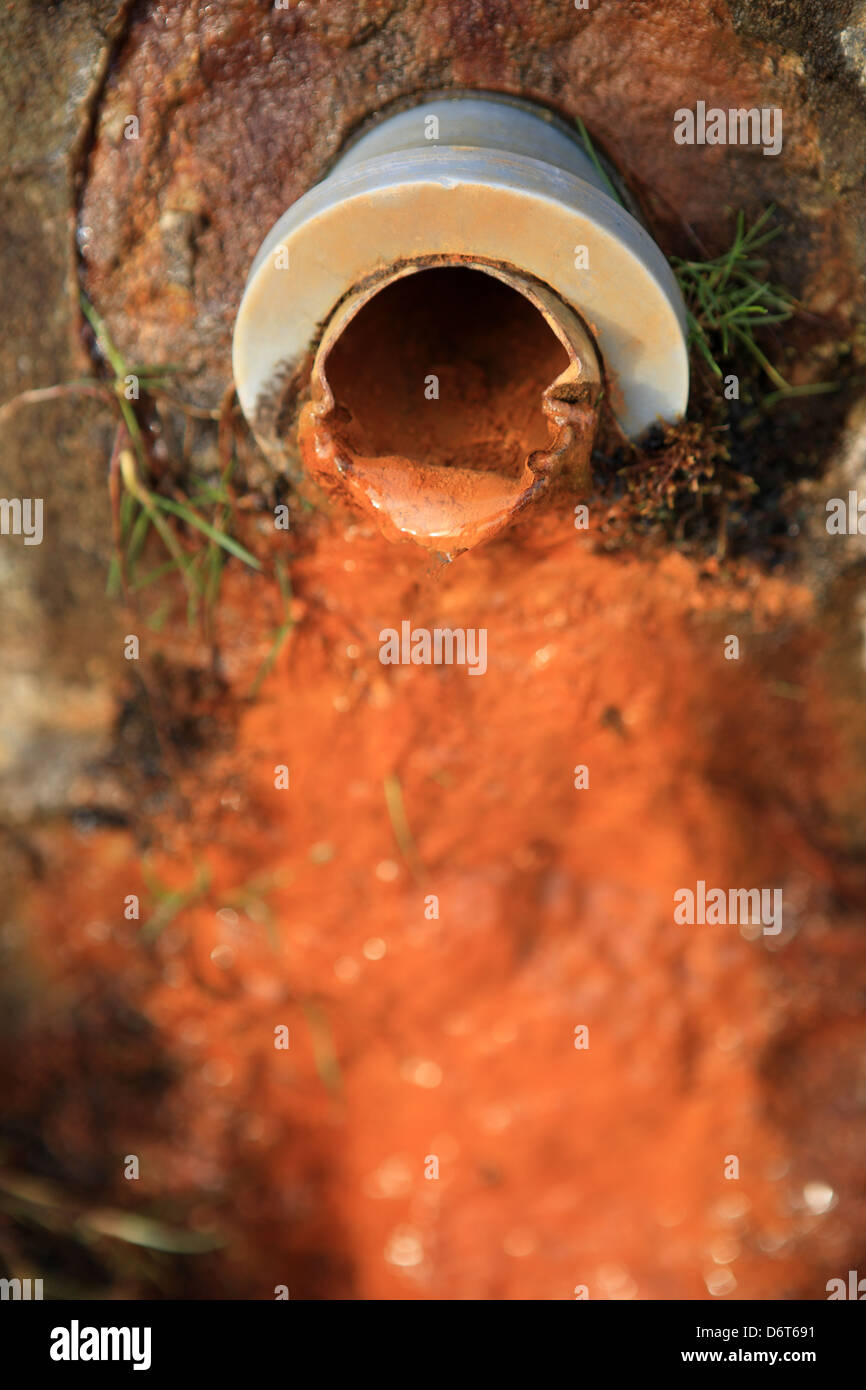 Chalybeate Spring near Callander in Perthshire Scotland Stock Photo Alamy