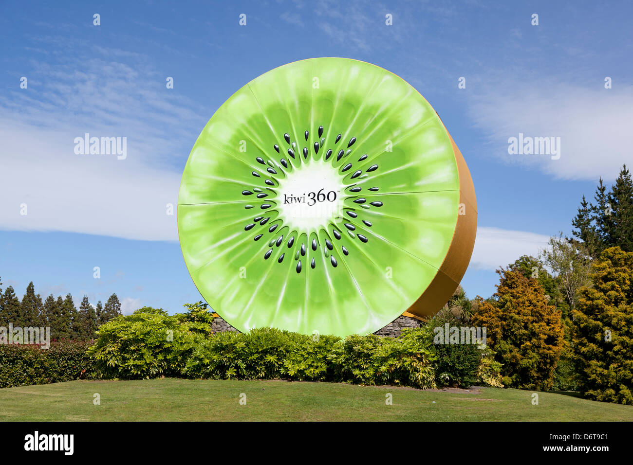 Kiwifruit country in te Puke, New Zealand Stock Photo Alamy