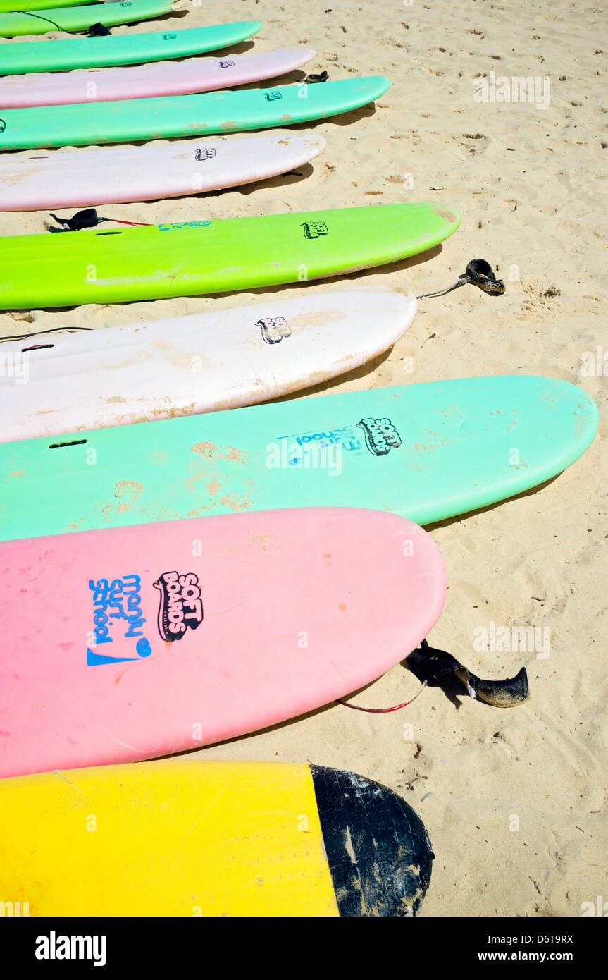 Surfboards lined up on beach at Manly Beach in Australia Stock Photo