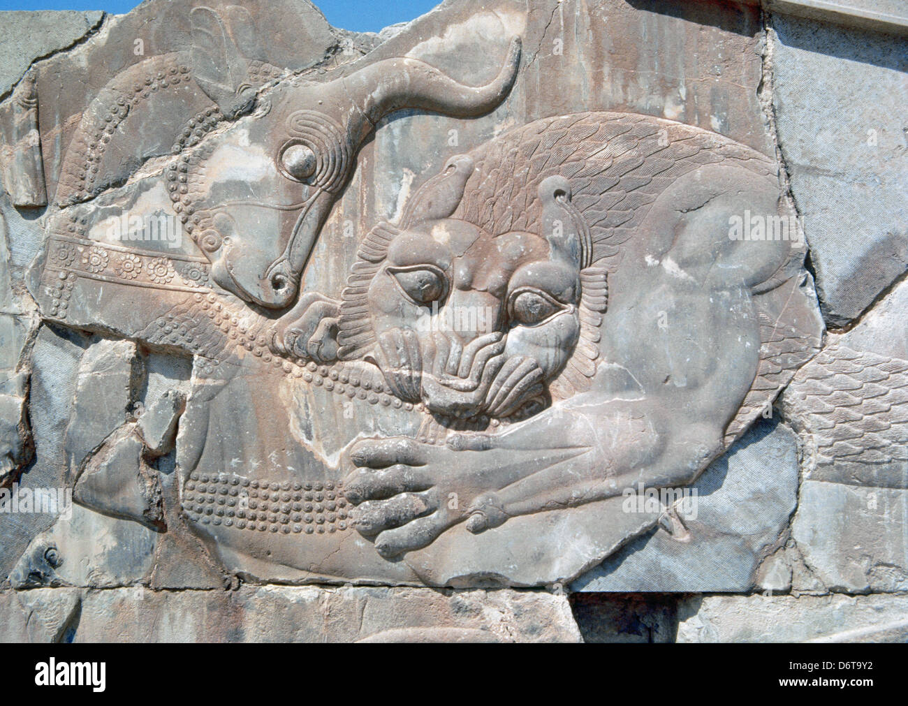 Persepolis. Achaemenid period. Apadana Palace. Lion and bull combat. Relief. 6th century and 5th centuries BC. Stock Photo