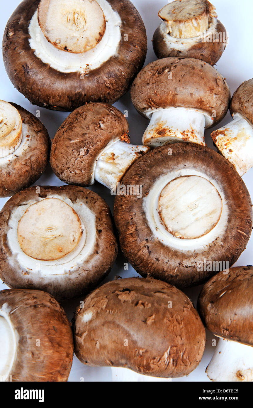 Raw brown cap mushrooms Stock Photo Alamy