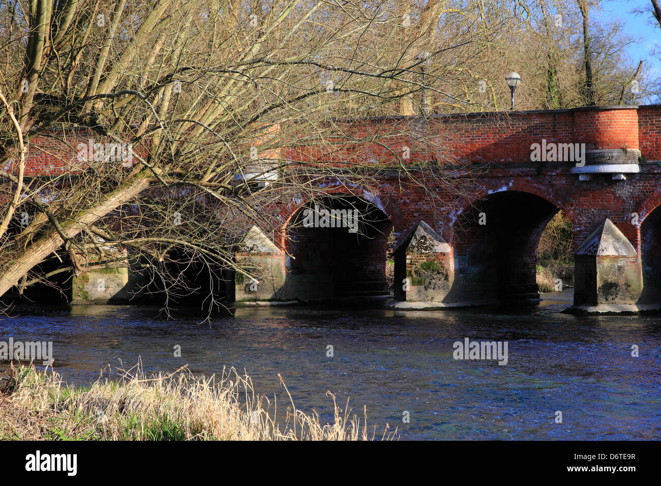 Leatherhead old bridge, Surrey, England Stock Photo