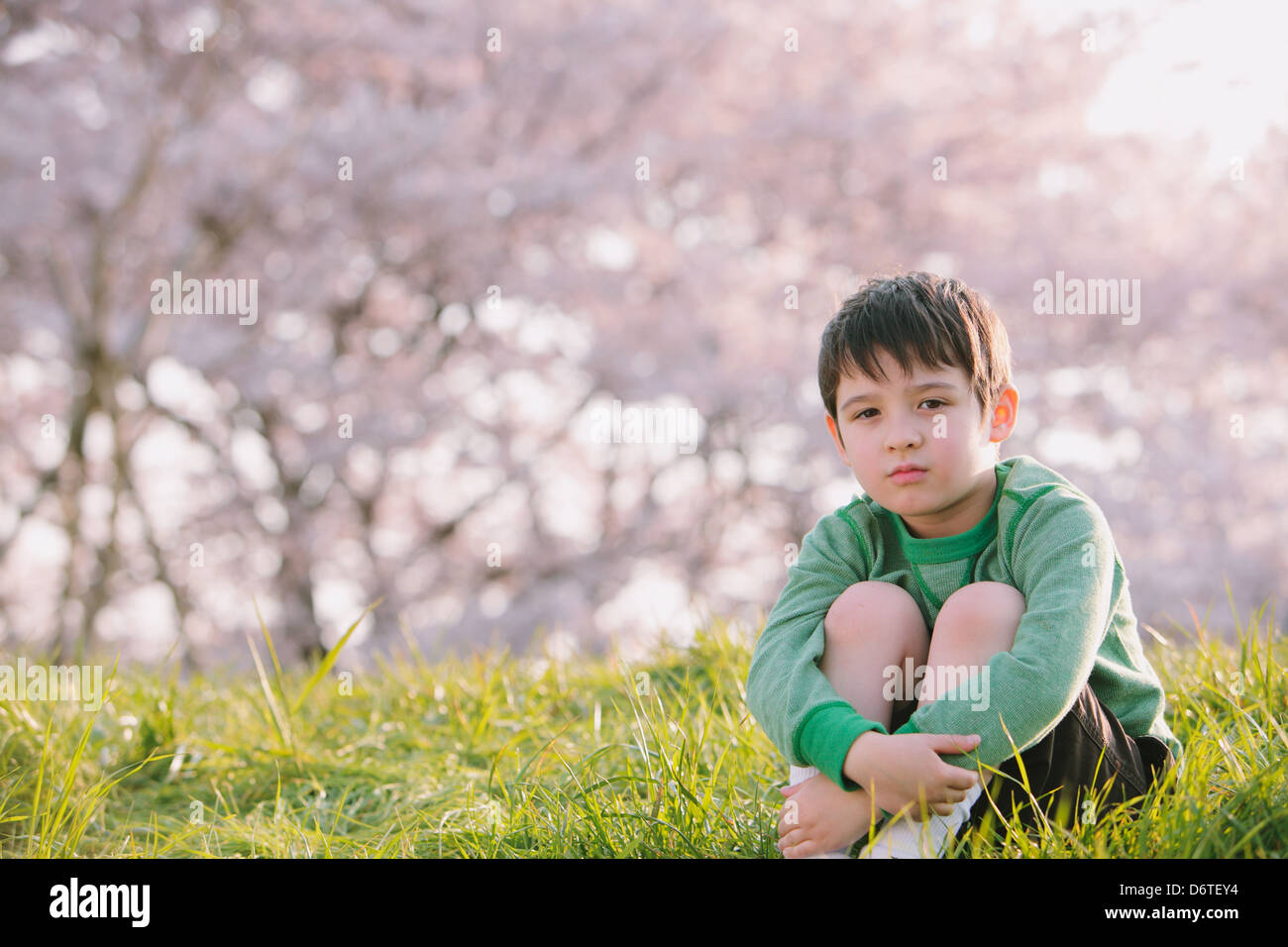 Young boy on grassland looking at camera Stock Photo - Alamy
