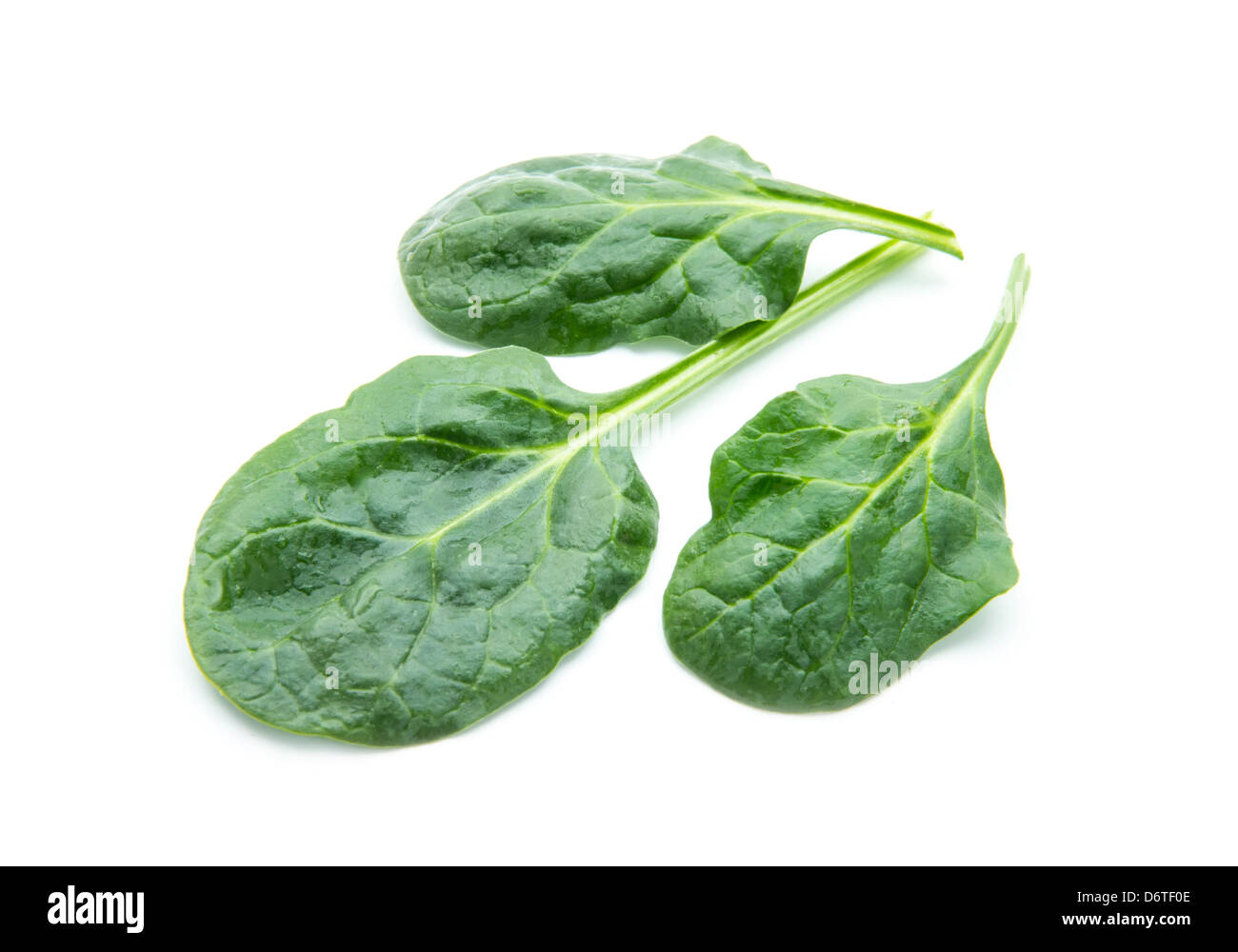 fresh spinach leaves isolated on white background Stock Photo - Alamy