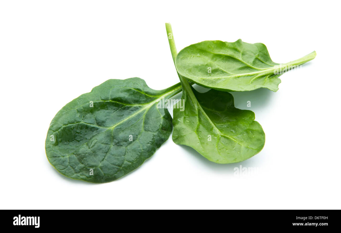 fresh spinach leaves isolated on white background Stock Photo - Alamy