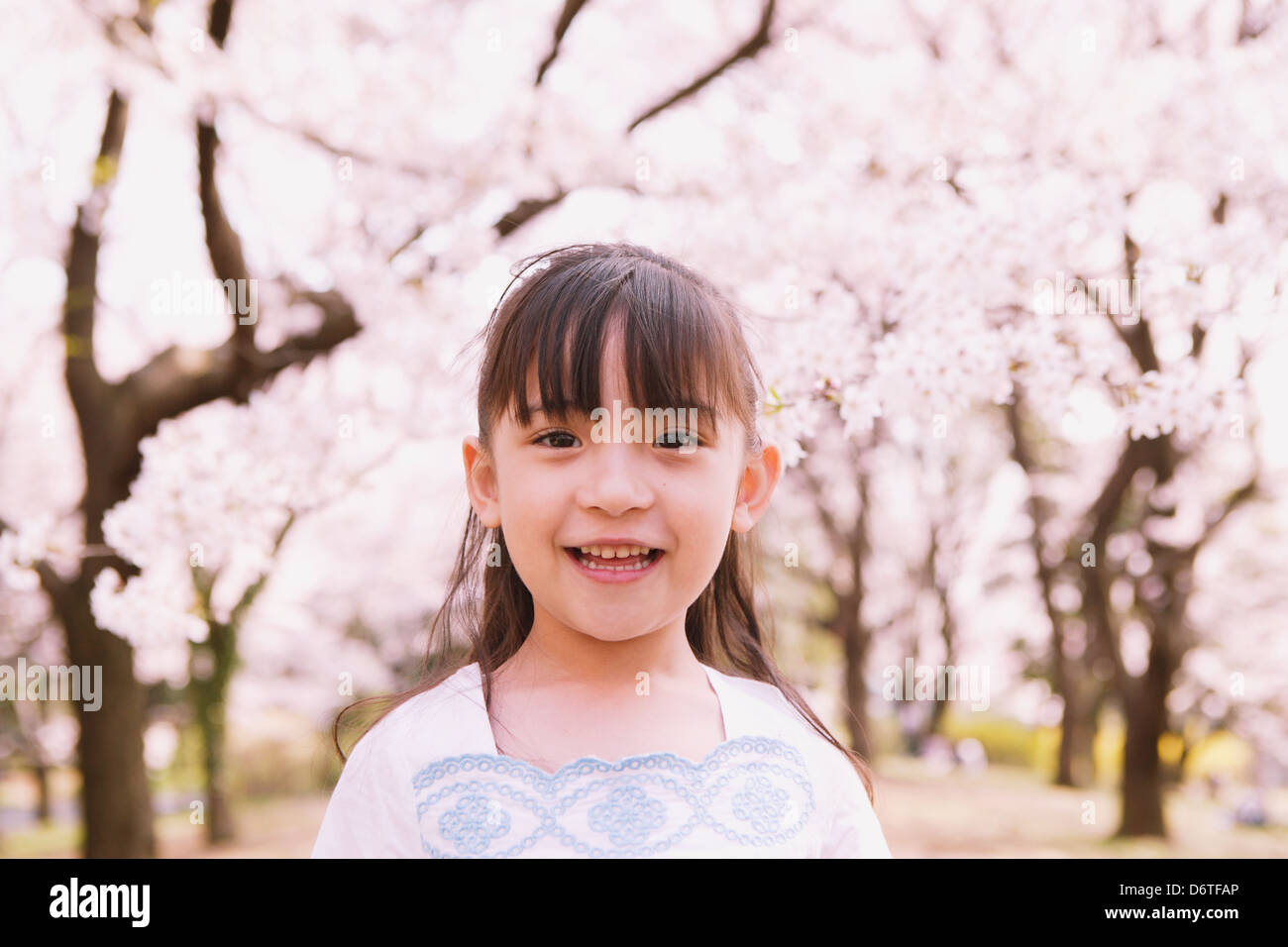 Girl cherry blossom trees hi-res stock photography and images - Alamy
