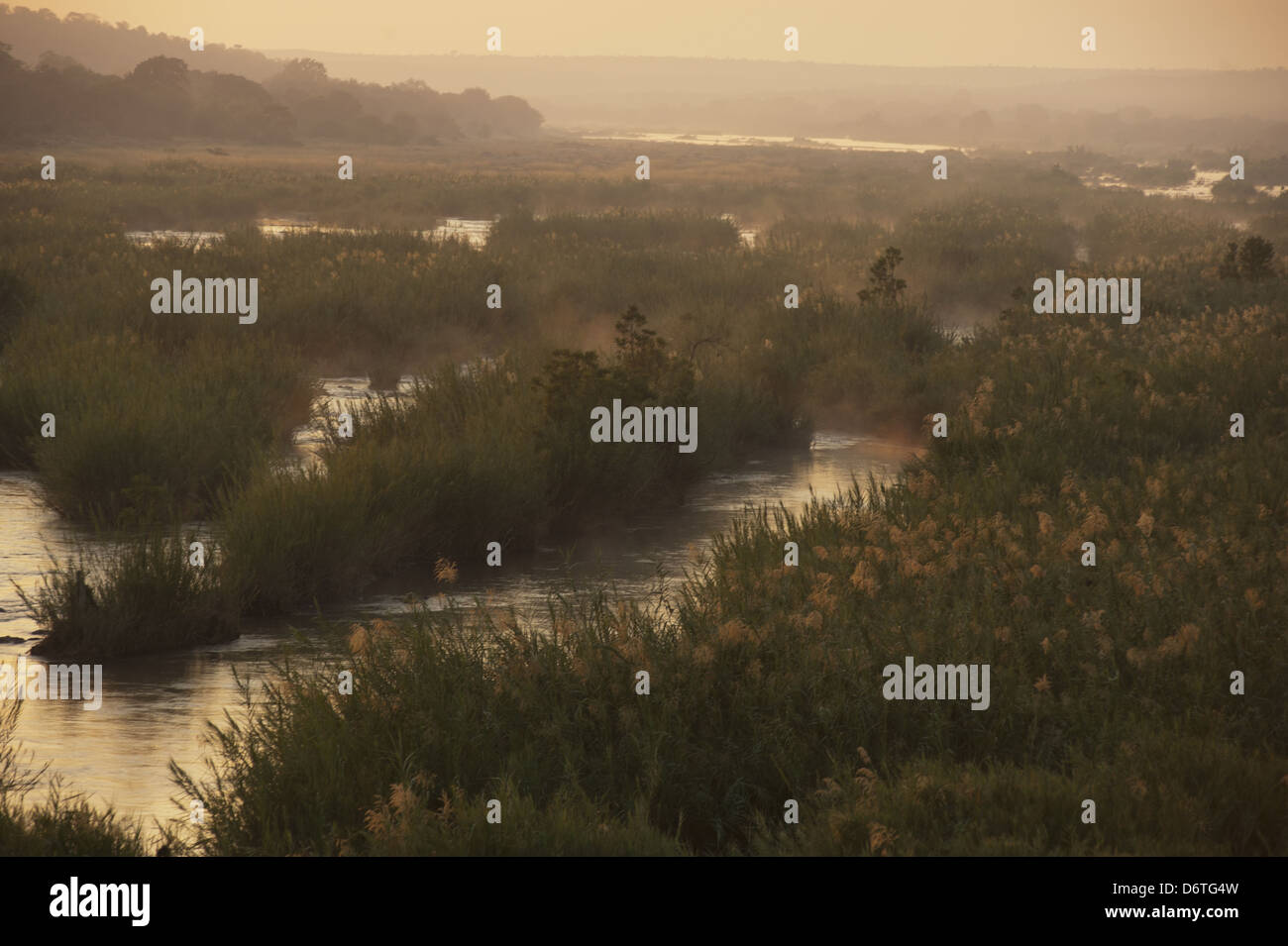 June long grasses hi-res stock photography and images - Alamy