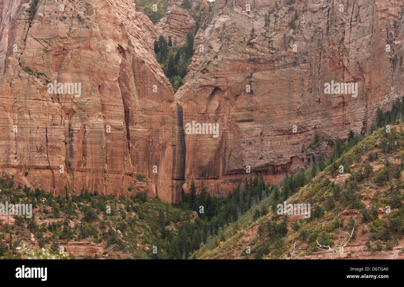Hanging canyon, caused by fault uplift, in sandstone walls of canyon, Kolob Canyon, Zion N.P., Utah, U.S.A., October Stock Photo