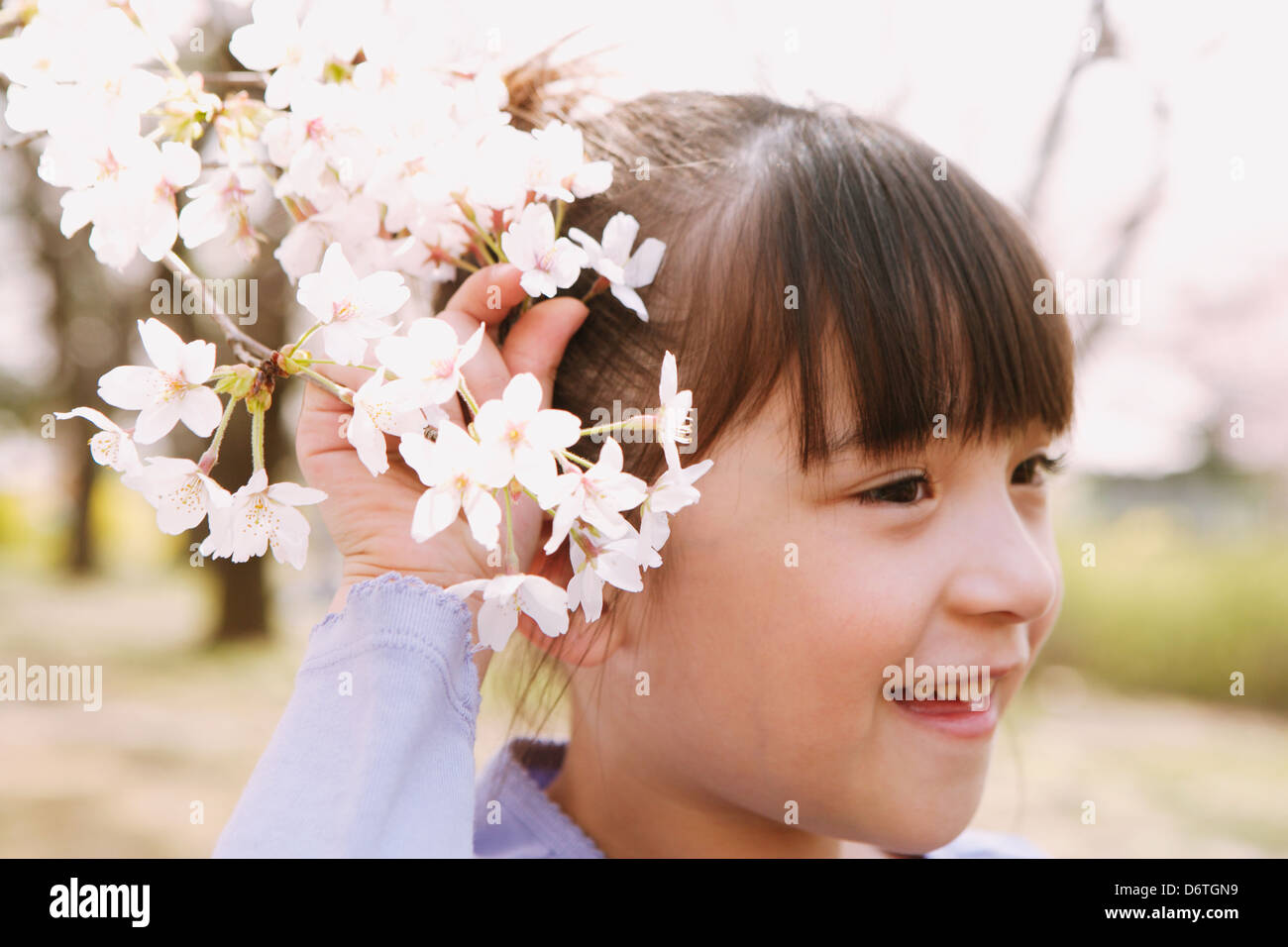 Young girl with cherry blossoms Stock Photo Alamy