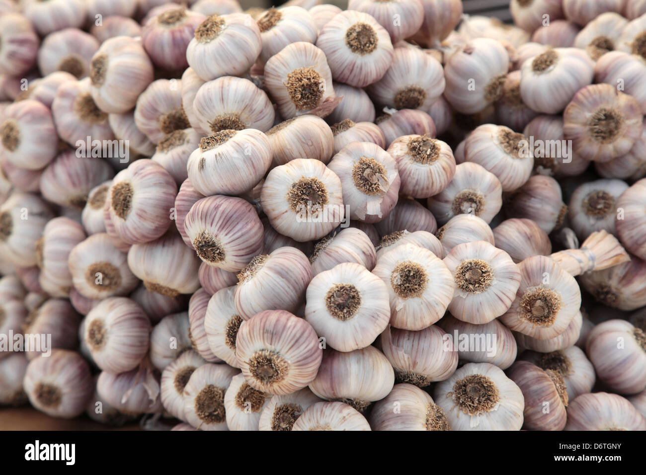Plenty of garlics for sale at a street fruit and vegetable market. Stock Photo