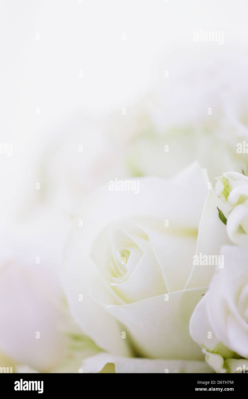 Elegant white wedding bouquet hi-res stock photography and images - Alamy