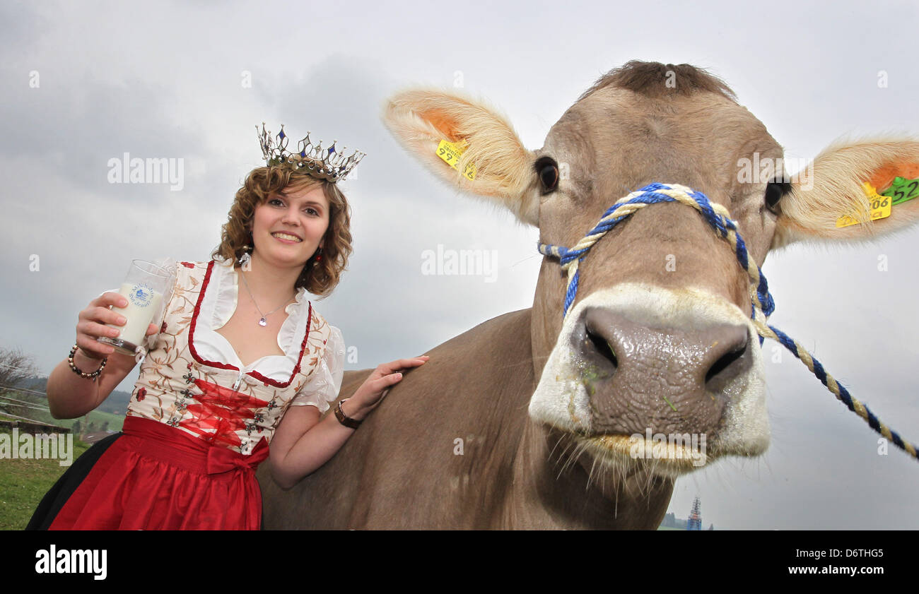 New Bavarian Milk Queen Katharina Schlattl poses next to the cow ...