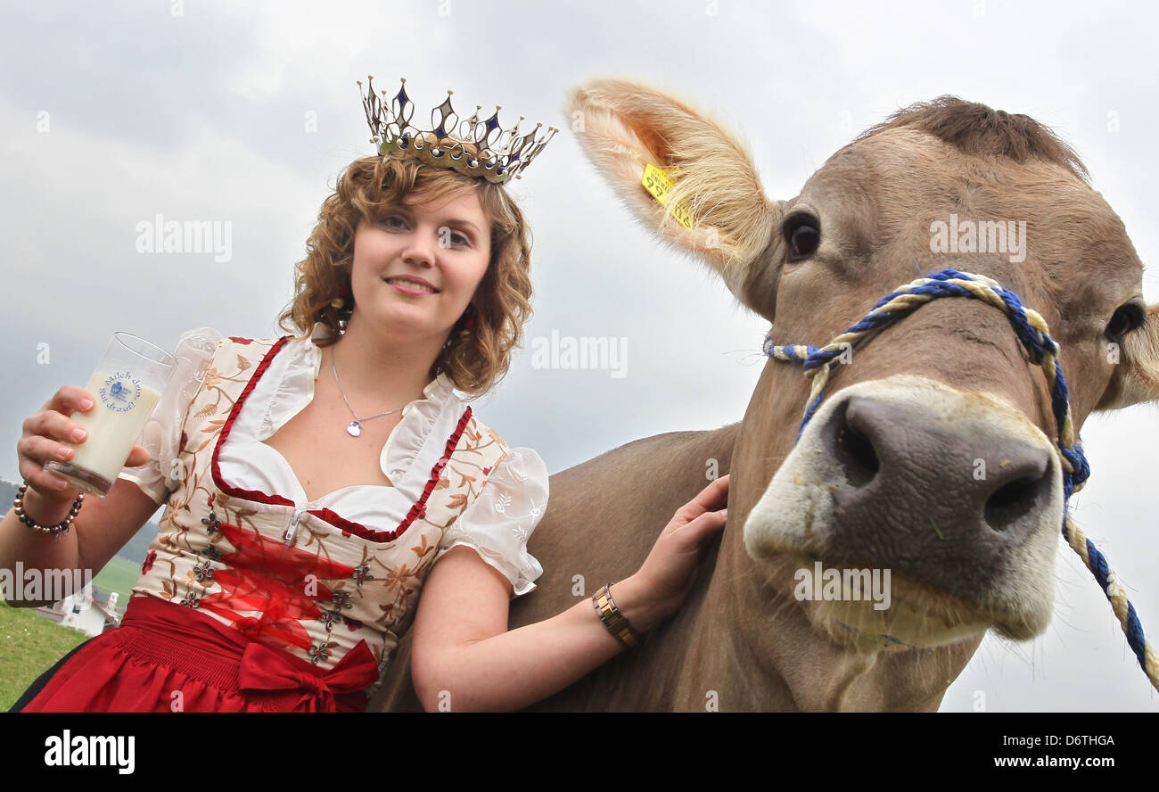 New Bavarian Milk Queen Katharina Schlattl poses next to the cow ...