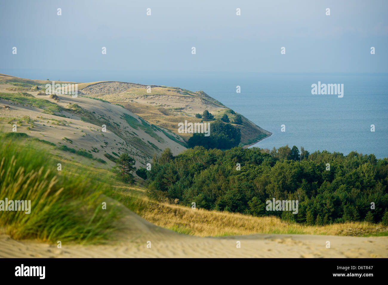 View of Dead Dunes, Curonian Spit and Curonian Lagoon, Nagliai, Nida, Klaipeda, Lithuania. Stock Photo