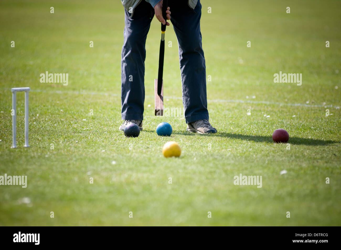 Croquet mallet hoop ball lawn game english pitch Stock Photo Alamy