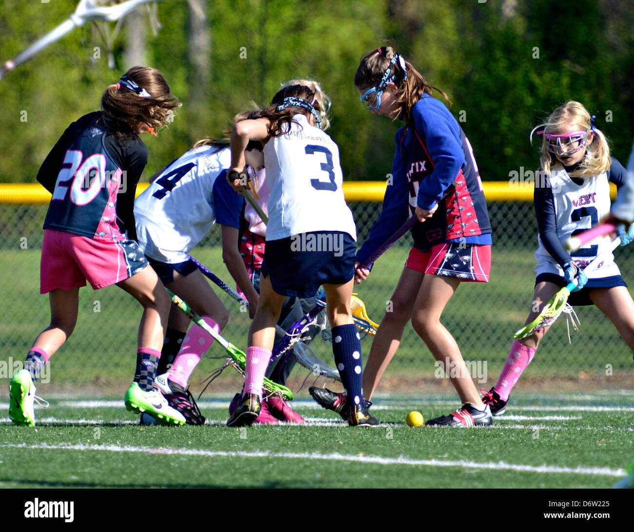 Two teams of young girls fighting for the ball during a lacrosse game. Stock Photo