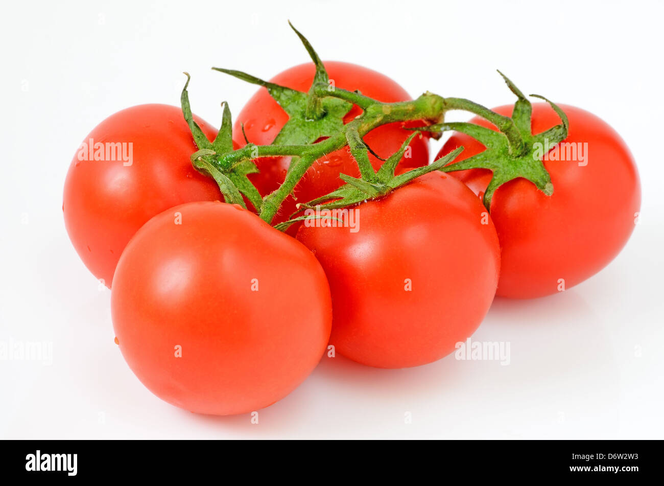Branch of red ripe tomatoes on white background Stock Photo - Alamy