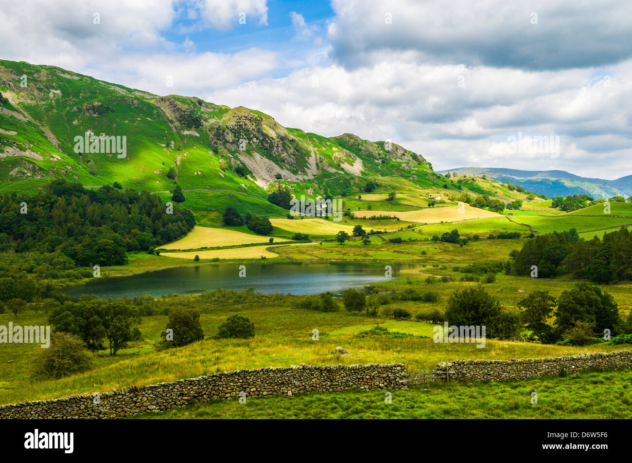 Lingmoor Fell and Little Langdale Tarn in the English Lake District, Cumbria, England. Stock Photo