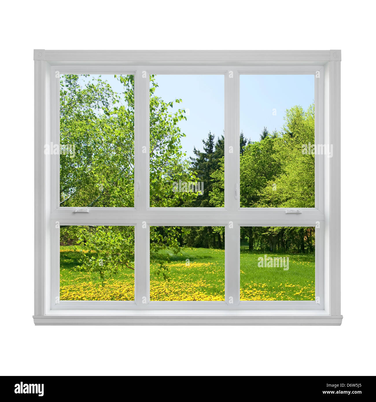 Spring dandelion lawn and green trees seen through the window. Stock Photo