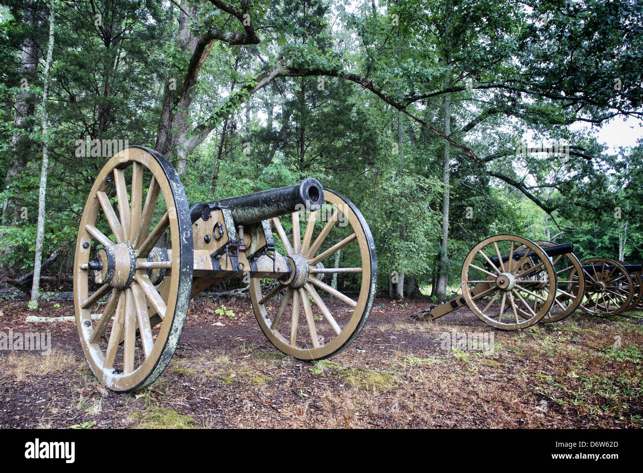 Line of Civil War cannon guard a treeline in Shiloh National Military Park. Stock Photo