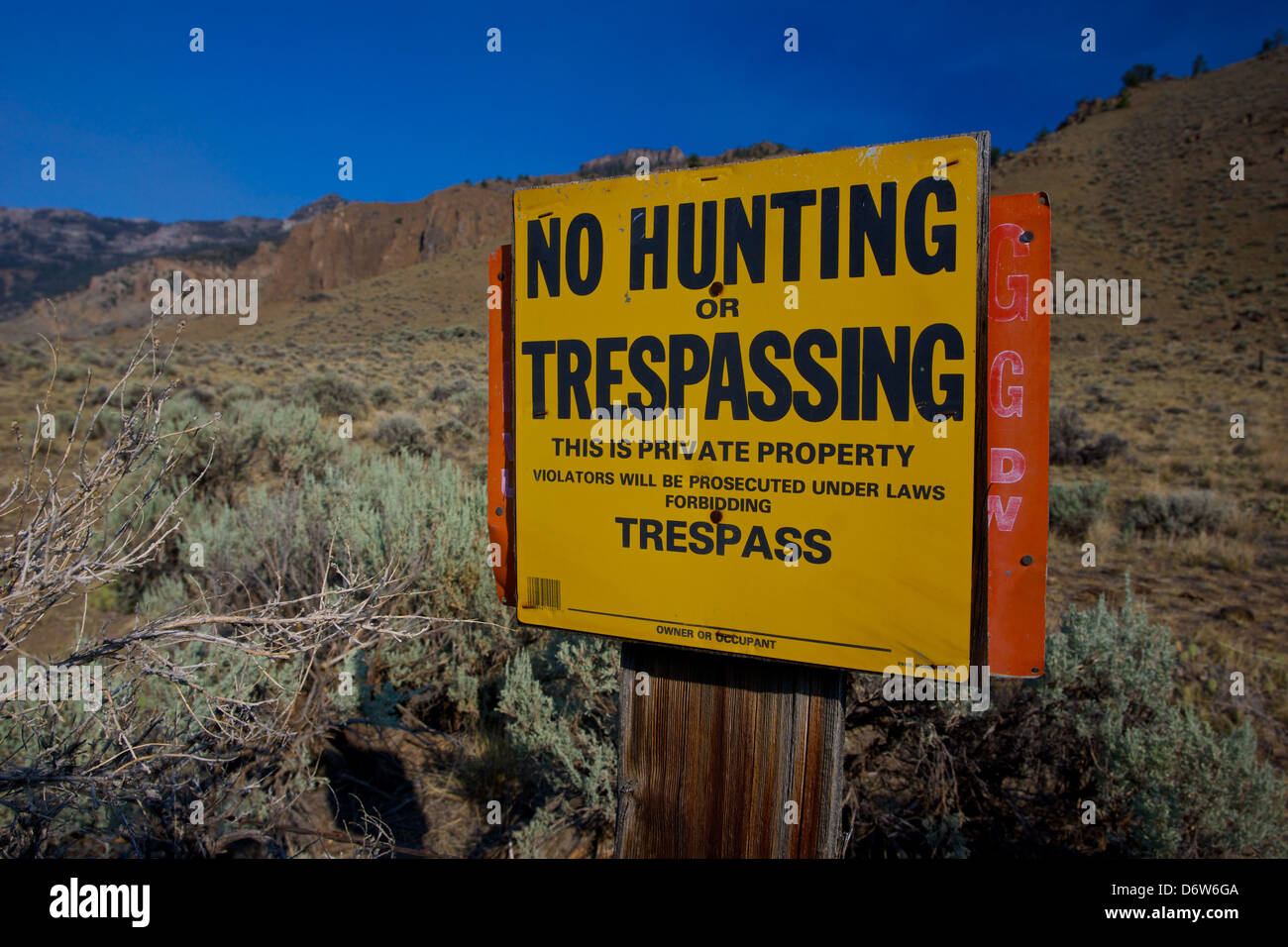 A bright yellow sign designates an area for no hunting or trespassign. Stock Photo