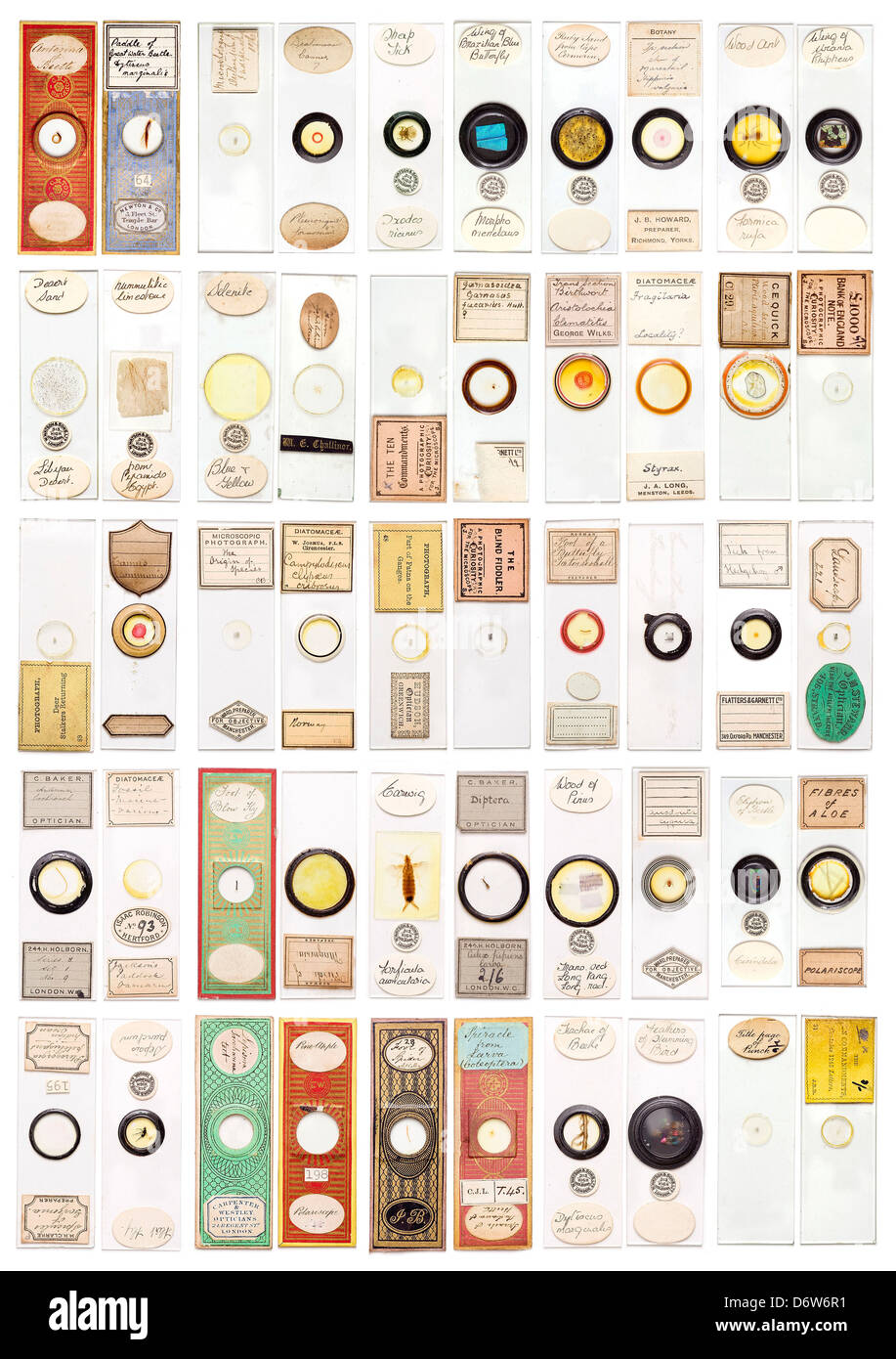 Vintage microscope specimen slide collection showing diversity of labels and mounts Stock Photo