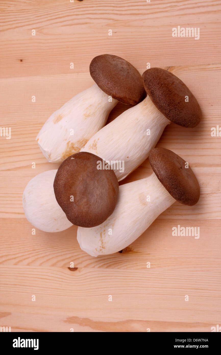 mushrooms on a cutting board Stock Photo