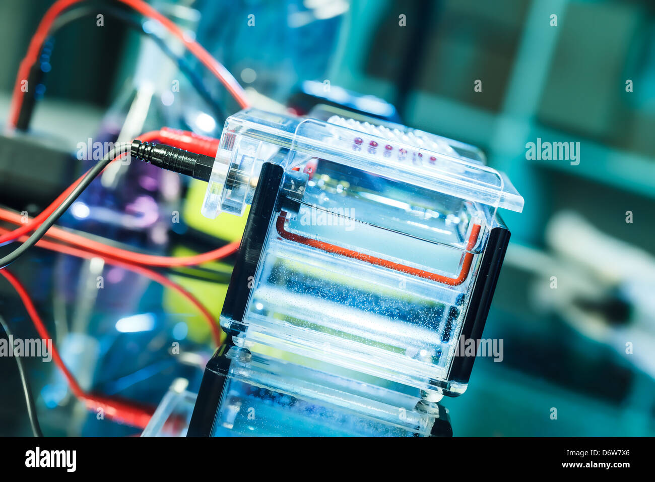 Build a gel electrophoresis chamber Stock Photo Alamy