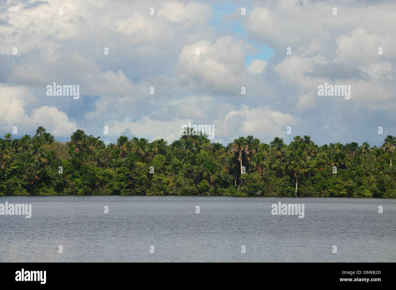 Amazon rainforest sunset hires stock photography and images Alamy