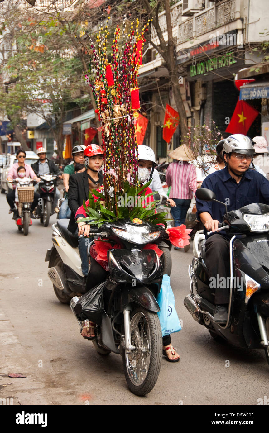 Vertical portrait of a lady on a moped in Hanoi with a large decoration for Vietnamese New Year, Tet, obstructing her view. Stock Photo