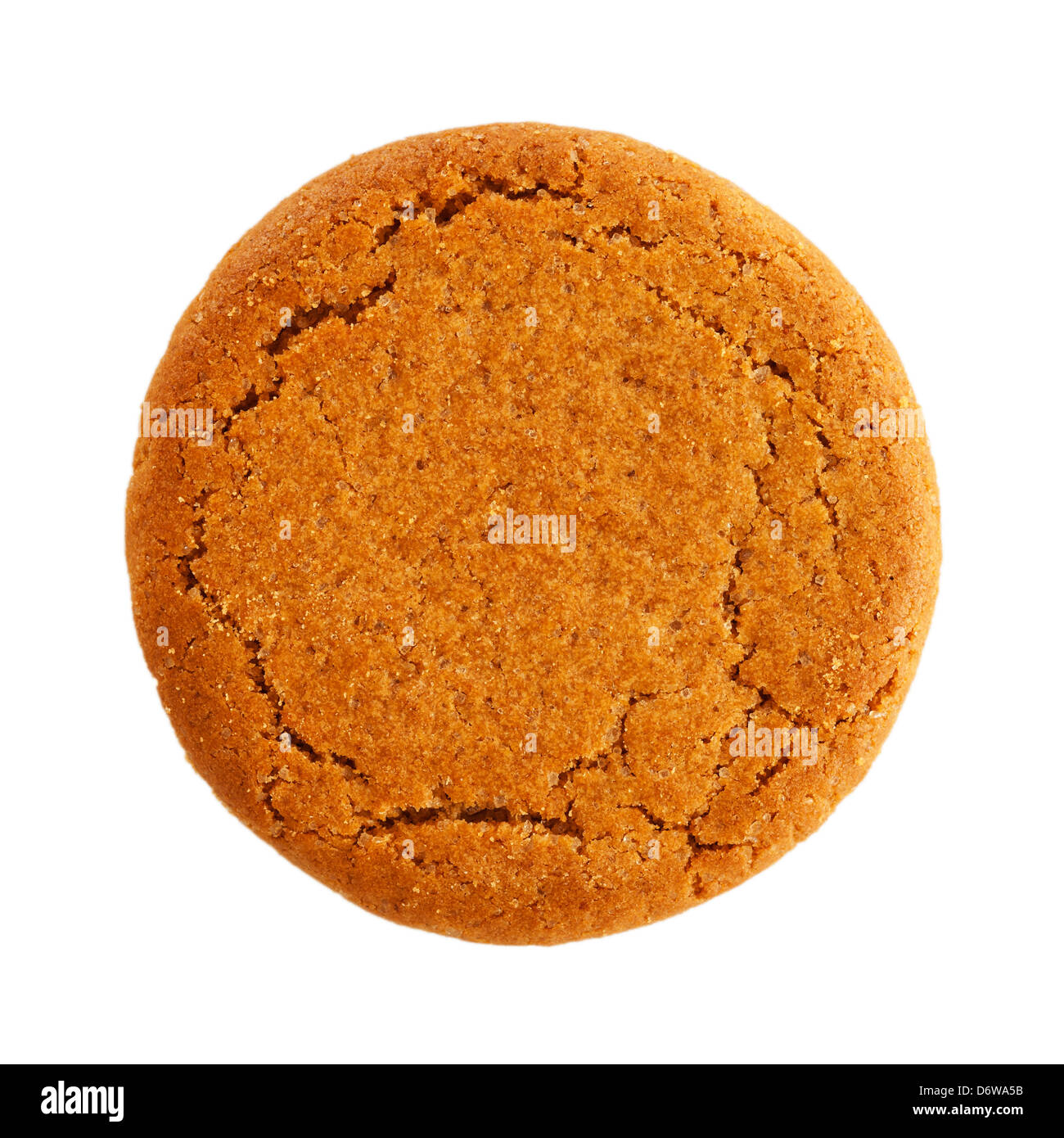 A Mcvitie's ginger Nut biscuit on a white background Stock Photo