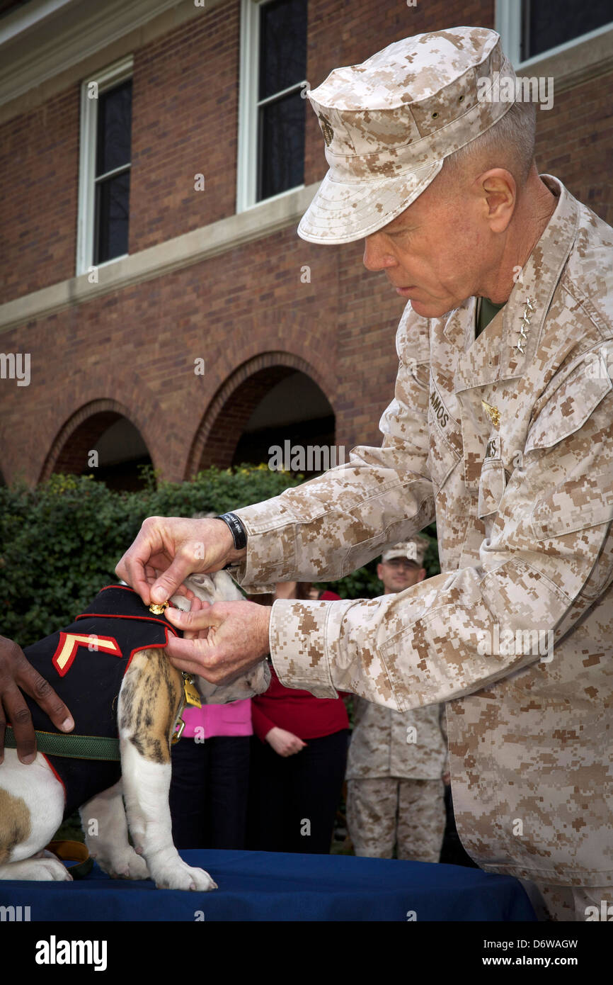Chesty puller hires stock photography and images Alamy