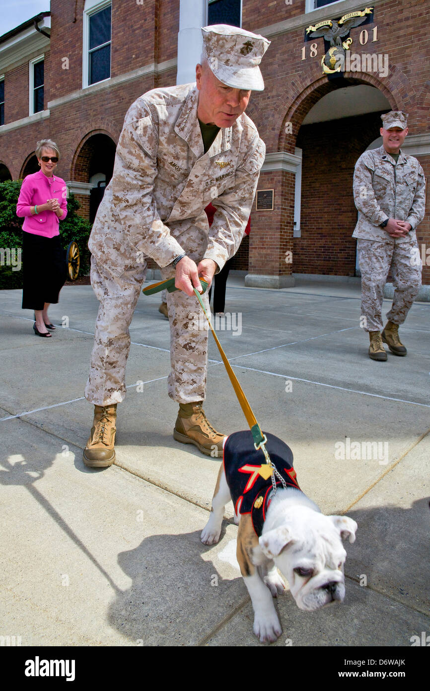 Commandant of the Marine Corps Gen. James F. Amos walks the incoming Marine Corps mascot Private First Class Chesty XIV during the Eagle Globe and Anchor ceremony for incoming Marine Corps mascot Private First Class Chesty XIV April 8, 2013 in Washington, DC. The English bulldog has been the choice of breed for Marine mascot since the 1950s, with each being named Chesty in honor of the highly decorated late Gen. Lewis Chesty Puller. Stock Photo