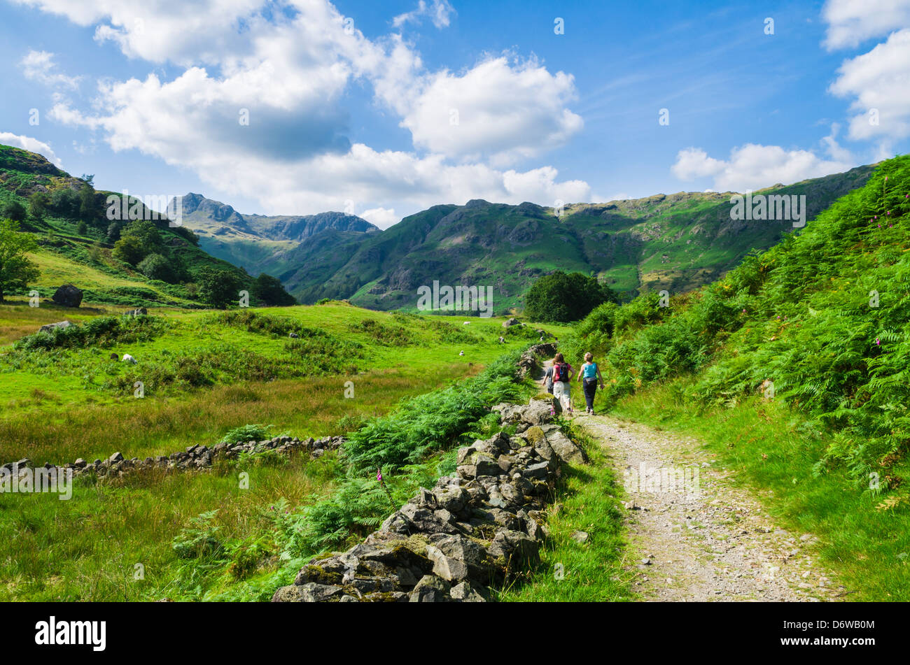 Great Langdale Valley looking towards the Langdale Pikes in the English Lake District near Chapel Stile, Cumbria, England. Stock Photo