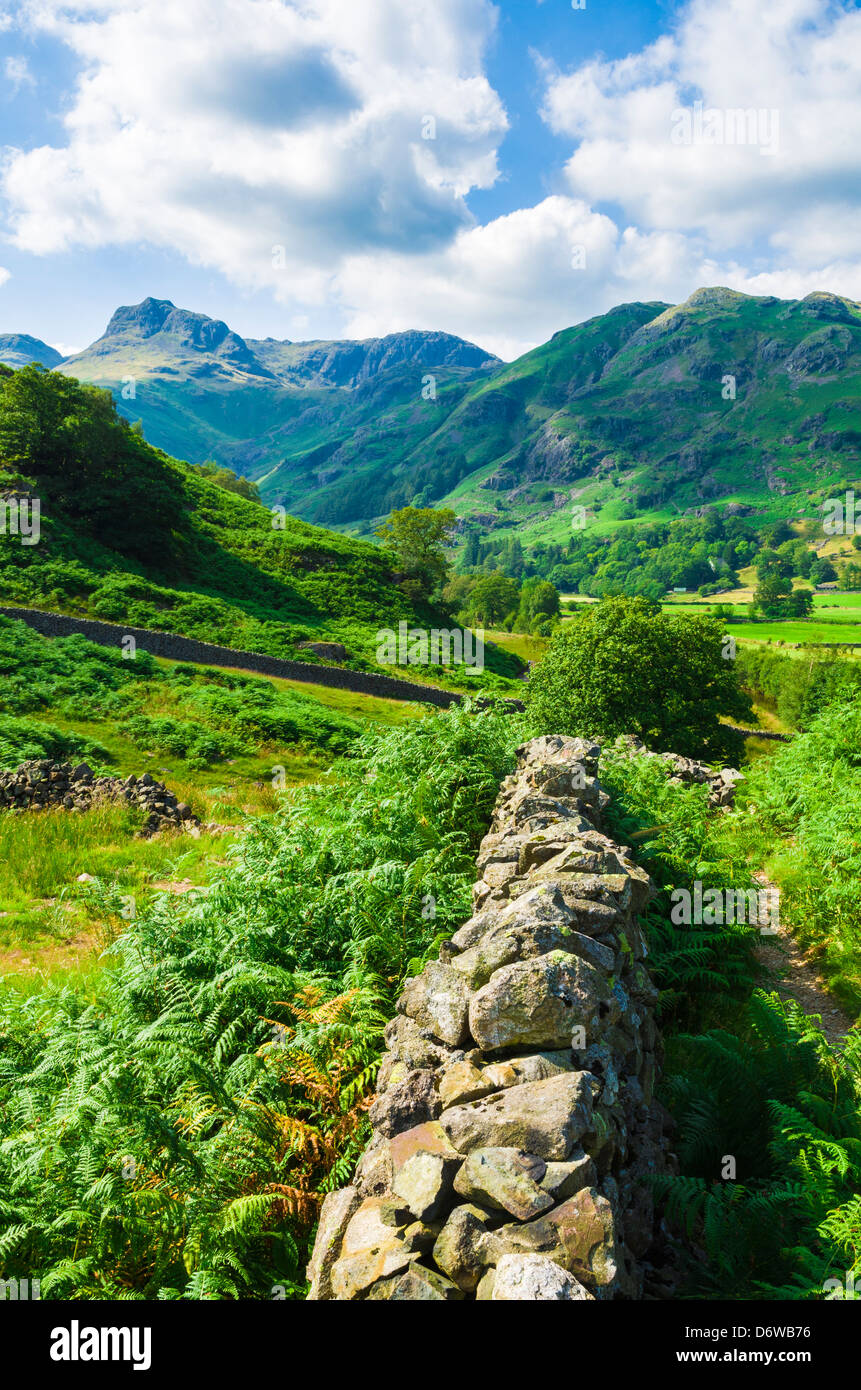 Great Langdale Valley looking towards the Langdale Pikes in the English Lake District near Chapel Stile, Cumbria, England. Stock Photo