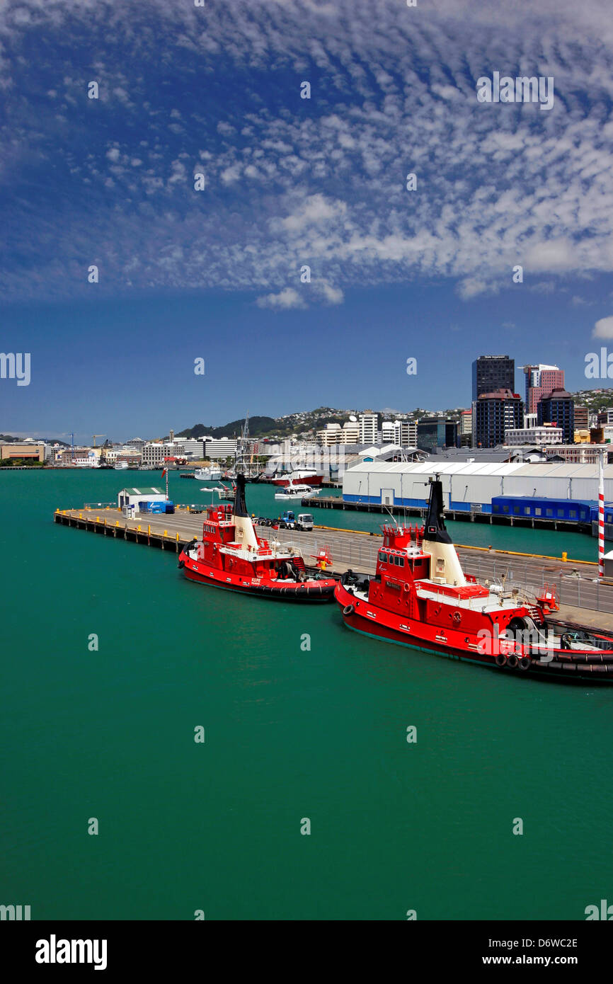 New Zealand, North Island, Wellington, View of harbour Stock Photo